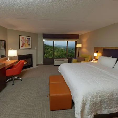 Hampton Inn Hazleton-2