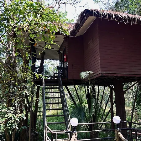 Khao Sok Paradise Resort-3