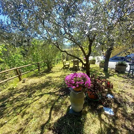 Il Giardino dei Pavoni-2