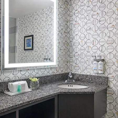 Holiday Inn Toronto Downtown Centre By Ihg-2