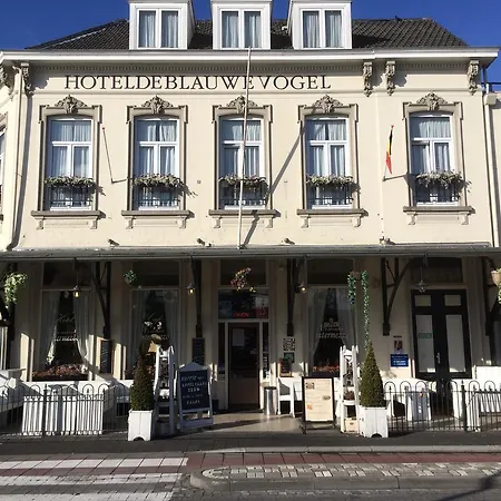 Hotel De Blauwe Vogel-3