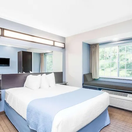 Microtel Inn & Suites Bath-2