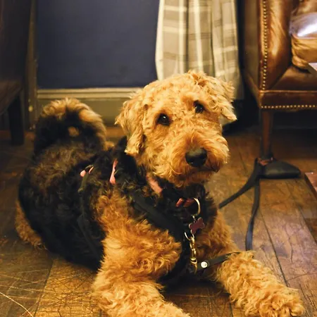 The Kings Arms-2