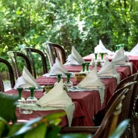 Hôtel Restaurant Pavillon Carina-3