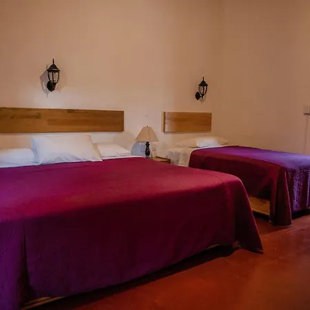 Hotel Las Golondrinas-3