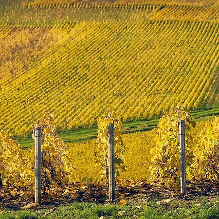 Best Western Le Relais du Vigneron-3