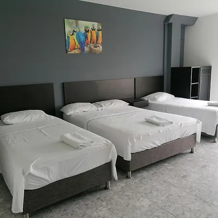 Hotel Bucare-3