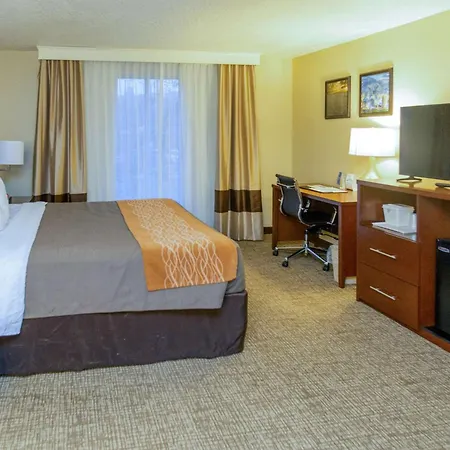 Comfort Inn Salt Lake City Downtown-2