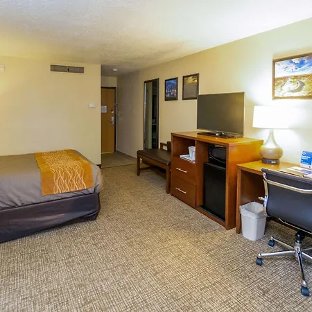 Comfort Inn Salt Lake City Downtown-3