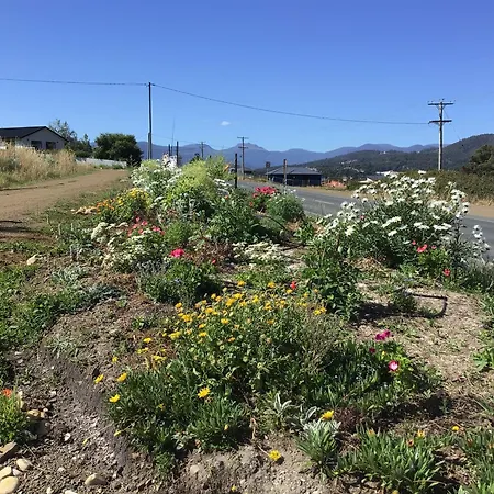 Bob Brown Room Art House-3