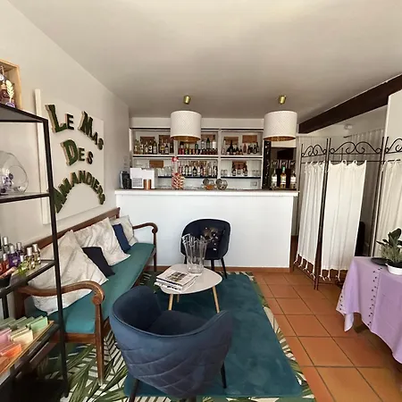 Hôtel Le Mas Des Amandiers-2