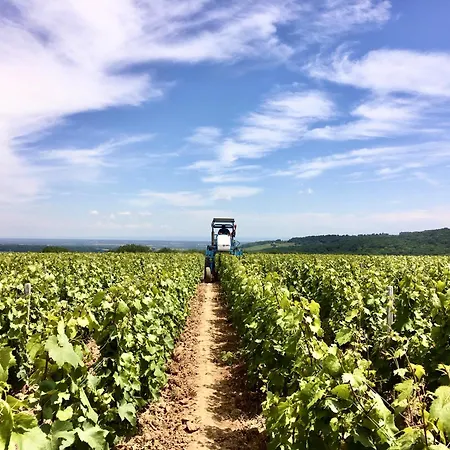 Domaine Joseph Lafarge Wine Resort B&B-2