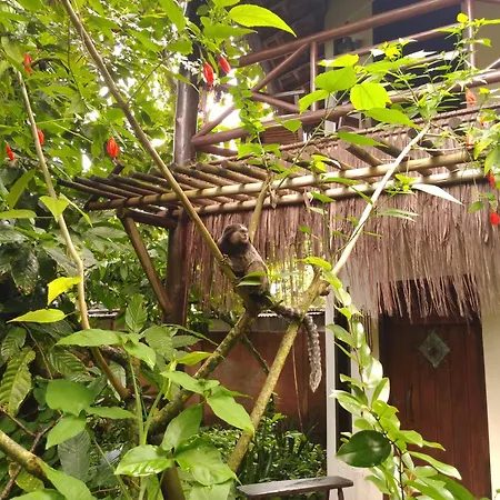 Pousada Fruta Pao-3