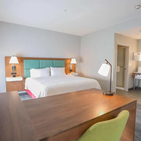 Hampton Inn & Suites Bay City-3