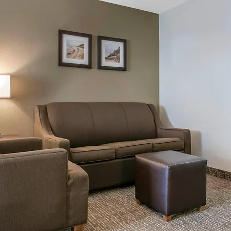 Comfort Inn & Suites Porter Near Indiana Dunes-3