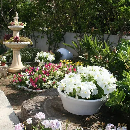 Panorama-3