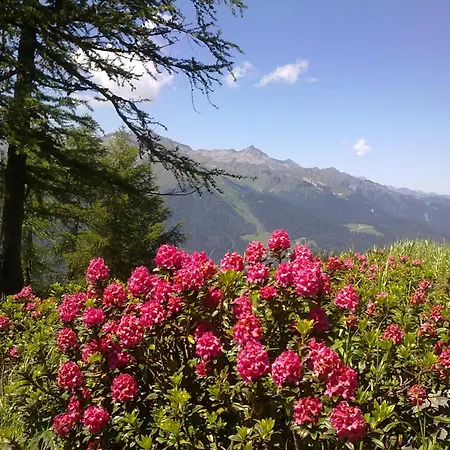 Hotel Alpina-2