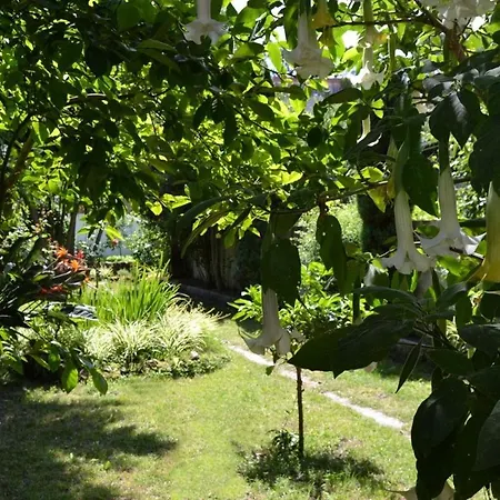 Hotel Amandi-3