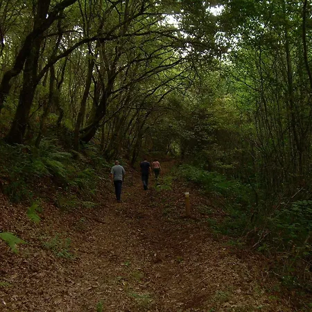 Rectoral de Castillon-2