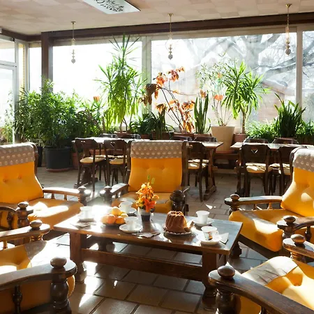 Hôtel Restaurant Pavillon Carina-2