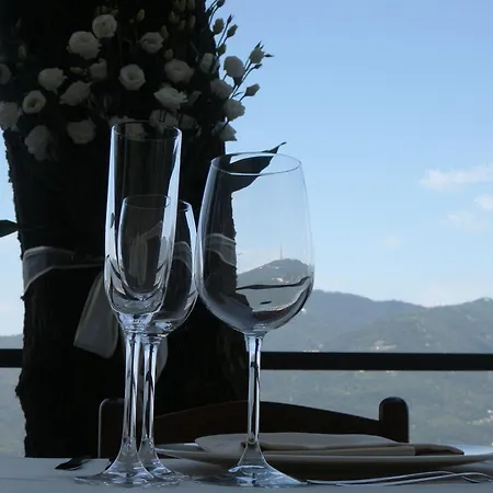 Ristorante Hotel Falchetto-2