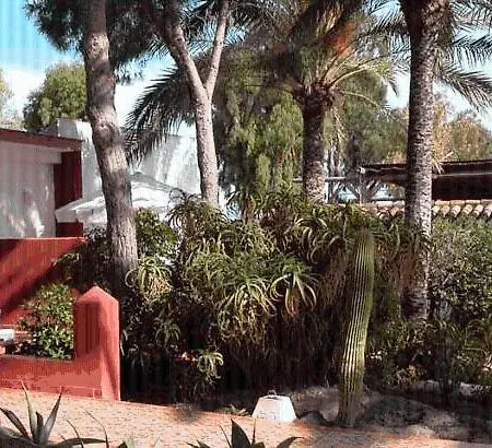 Apartamentos Oasis de las Palmeras-2