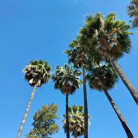 Vas Málaga Ciudad-2
