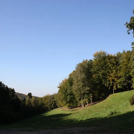Wald-Hotel Heppe-3