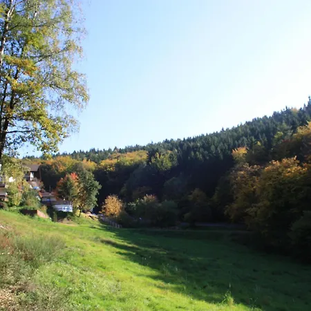 Wald-Hotel Heppe-2