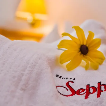 Hotel Seppi-2