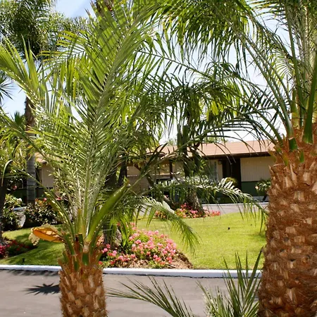 Palm Tropics Motel-3