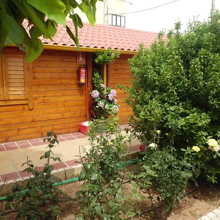 Hostal Gran Avenida-3