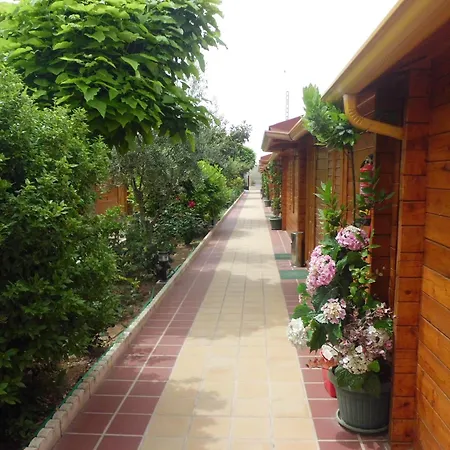 Hostal Gran Avenida-2