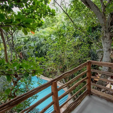 Hotel Casa Barbara Holbox-3
