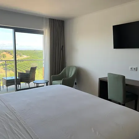 Hotel O Gato & Spa-3