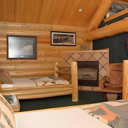 Hibernation Station-2