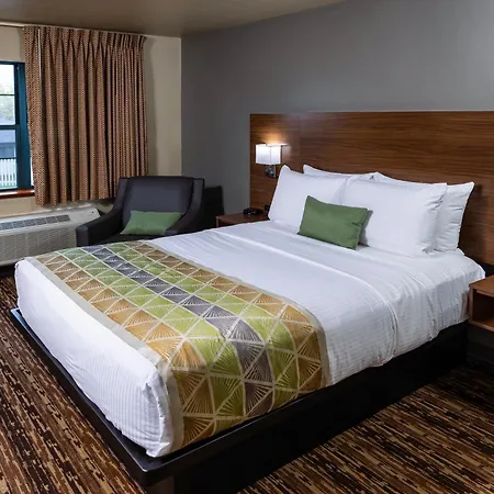Extended Stay Airport-3