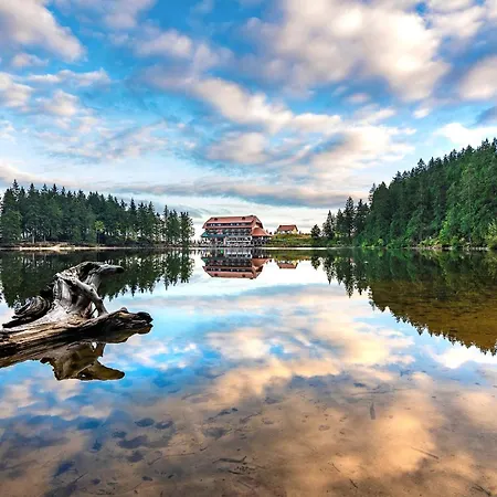 Berghotel Mummelsee-3