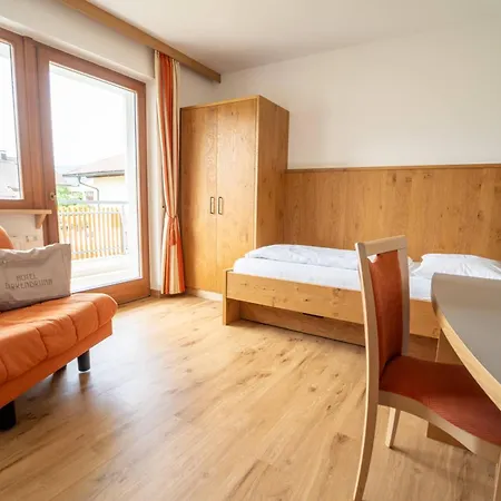 Hotel Birkenbrunn-2