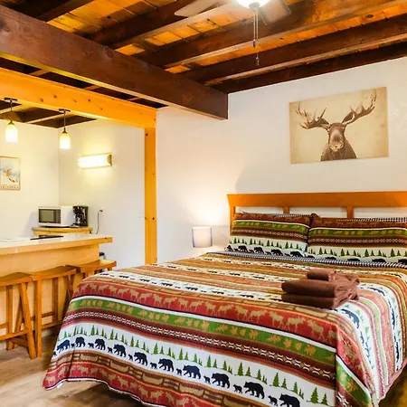 The Washoe Lodge-3