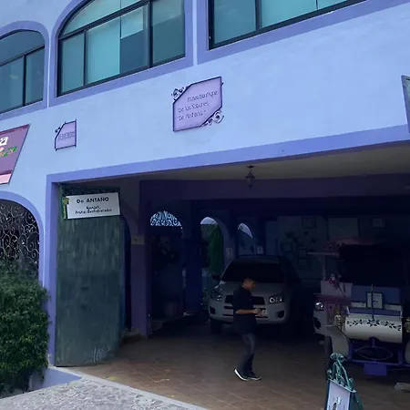Casa Morada-3