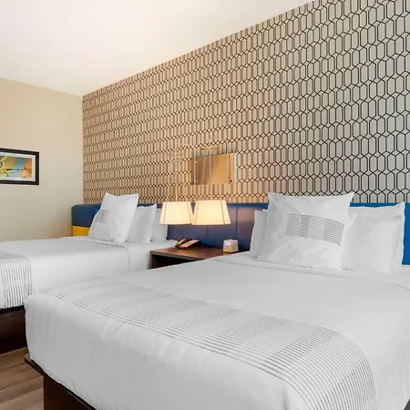 Glo Best Western Dallas South Desoto-3