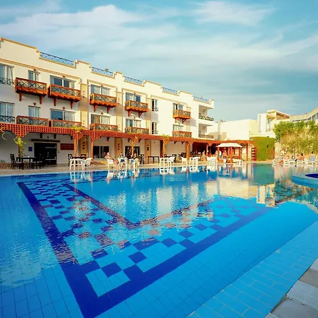 Falcon Naama Star Hotel-2