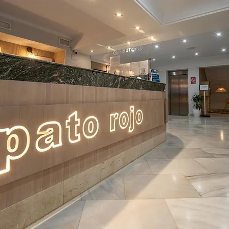 Pato Rojo-3