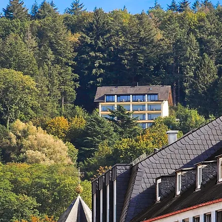 Vintage Hotel Petrisberg-3