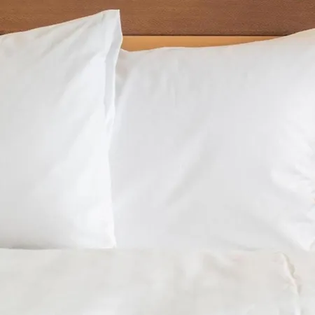 Holiday Inn Express Knoxville-Strawberry Plains By Ihg-3