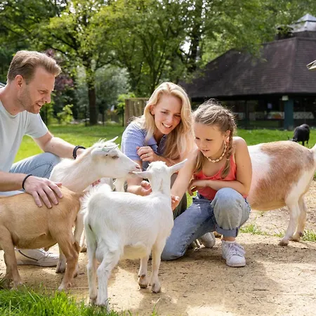 Hotel Het Heijderbos By Center Parcs-2