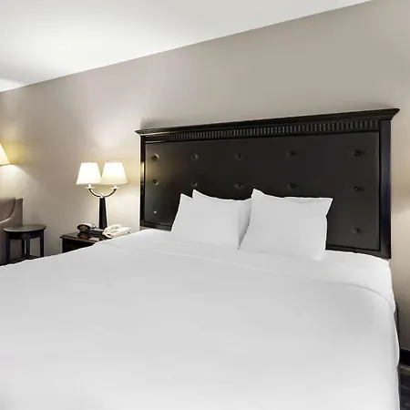 Best Western Saluki Inn-3