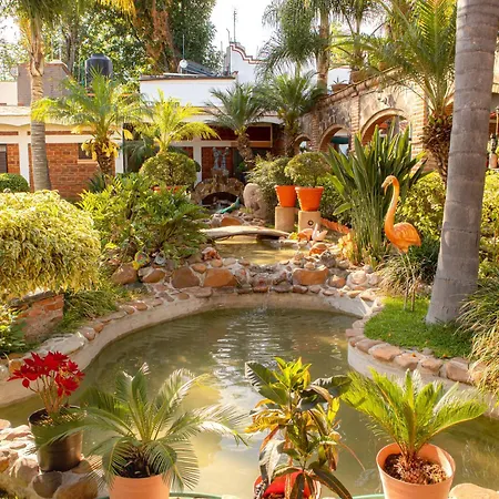 Hotel El Dorado - cerca de Chapala y del Aeropuerto-3