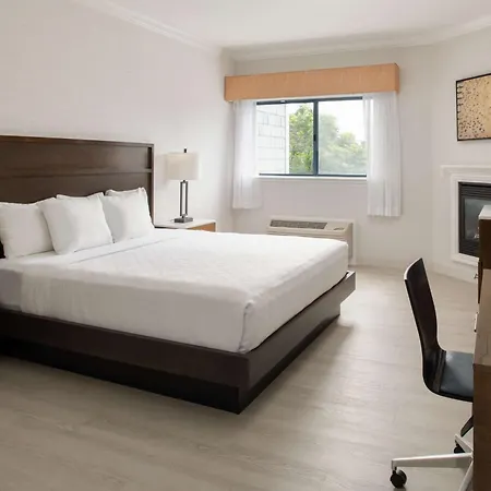 Best Western Plus All Suites Inn-2